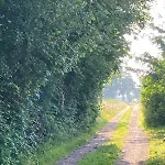 Dom wakacyjny Slowflower Ophemert