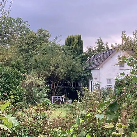 Slowflower * Ophemert