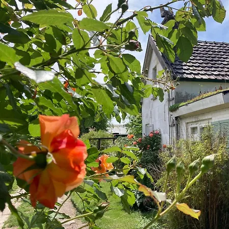 Slowflower Vakantiehuis *