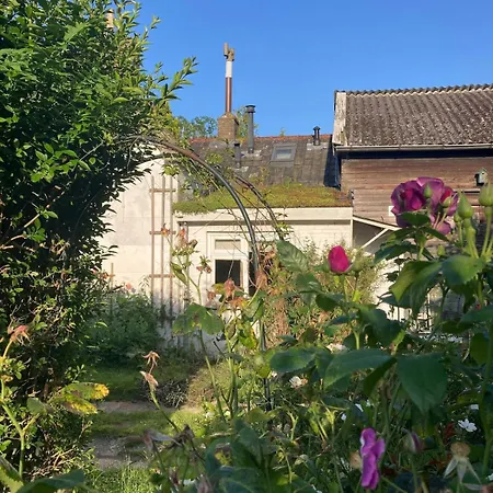 Slowflower * Ophemert