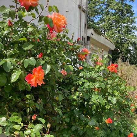 Slowflower Vakantiehuis