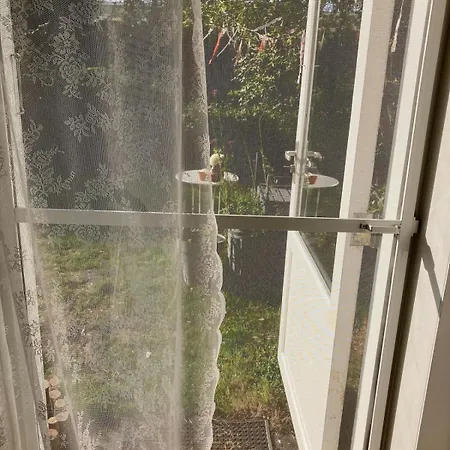 Slowflower * Ophemert