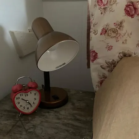 Slowflower 펜션 Ophemert