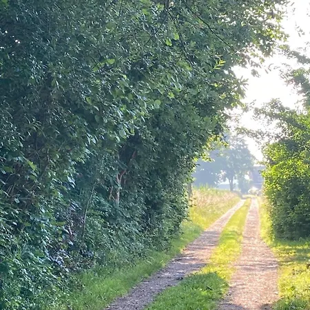 펜션 Slowflower Ophemert