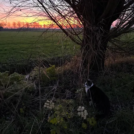 Vakantiehuis Slowflower