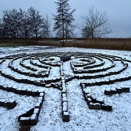 Slowflower Casa de Férias Ophemert