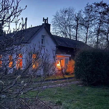 Slowflower * Ophemert