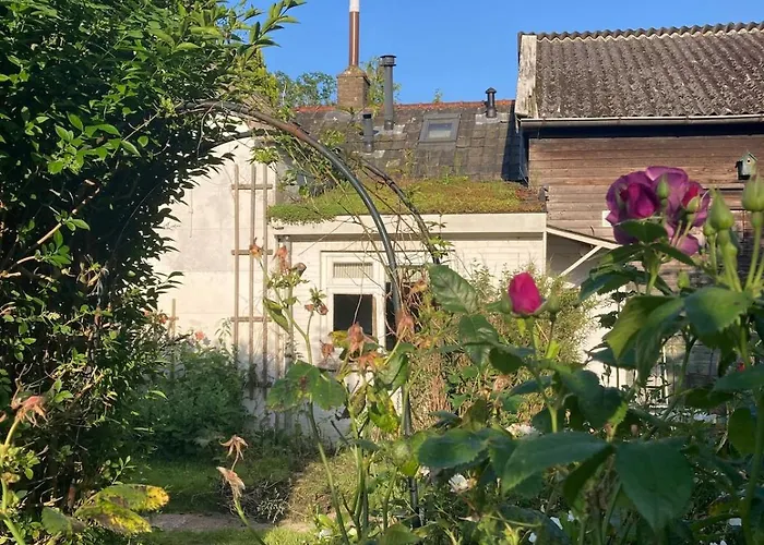 Slowflower * Ophemert