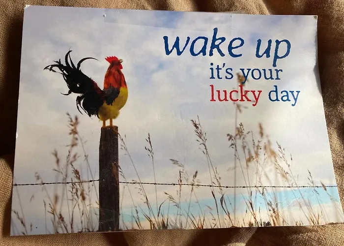 Dom wakacyjny Slowflower *