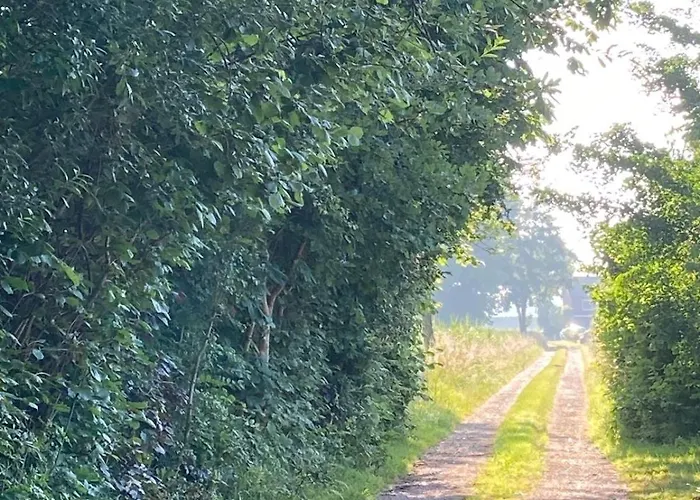 Dom wakacyjny Slowflower Ophemert