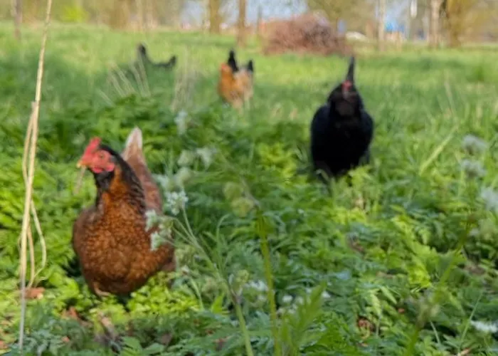 Сasa de vacaciones Slowflower