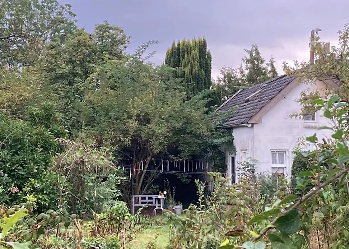 Slowflower * Ophemert