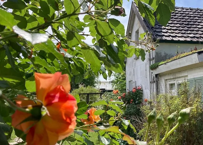 Slowflower Semesterbostad *