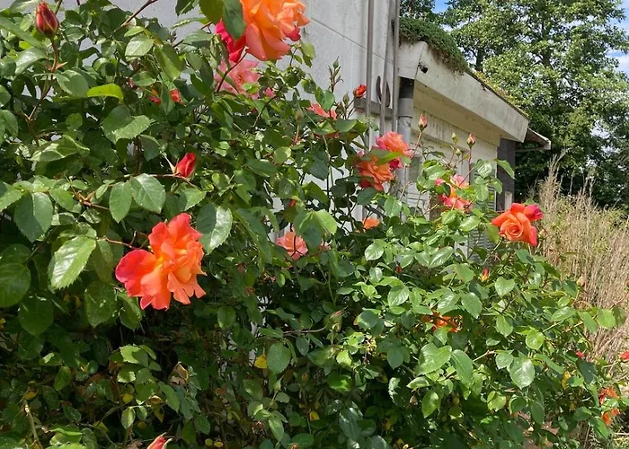 Slowflower Дом отдыха