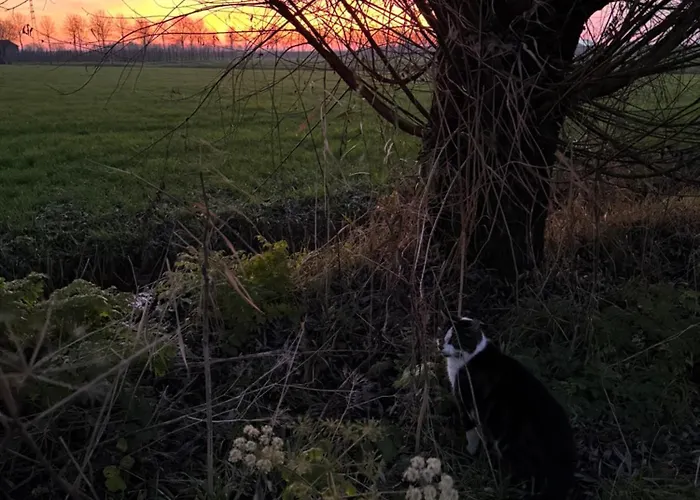 Дом отдыха Slowflower