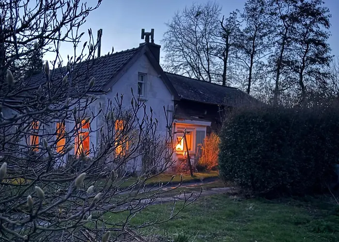 Slowflower * Ophemert